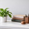 Law books, wooden pen holder and a sheaf of legal files on an attorney's desk beside a small potted plant